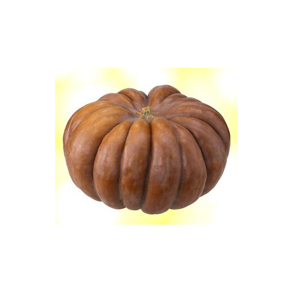 Courge muscade de graveson pièce 4kg environ