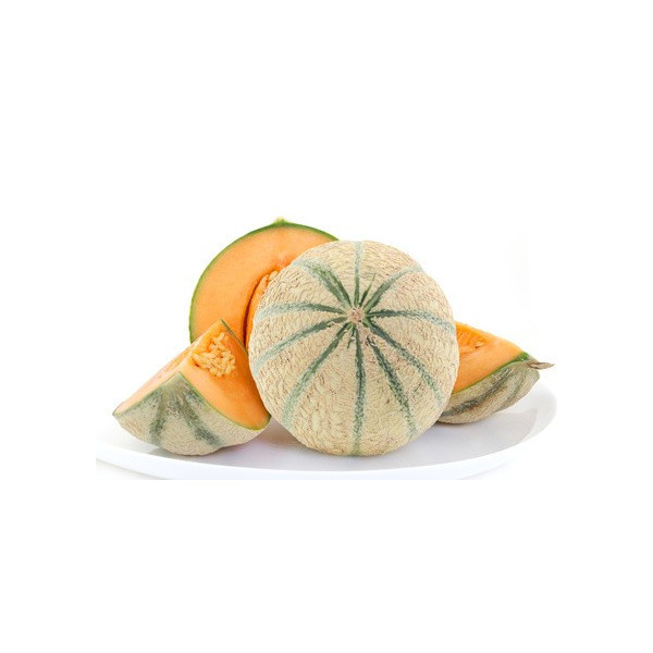 Melon charentais maillane 1 pièce calibre moyen