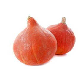 Potimarron petit calibre Maillane