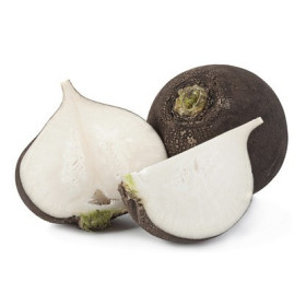 Radis noir provence 500g