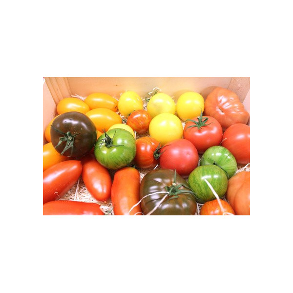 Tomates noires de crimée St Martin de Crau  (1kg)