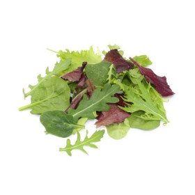 salade roquette st martin de crau 250g