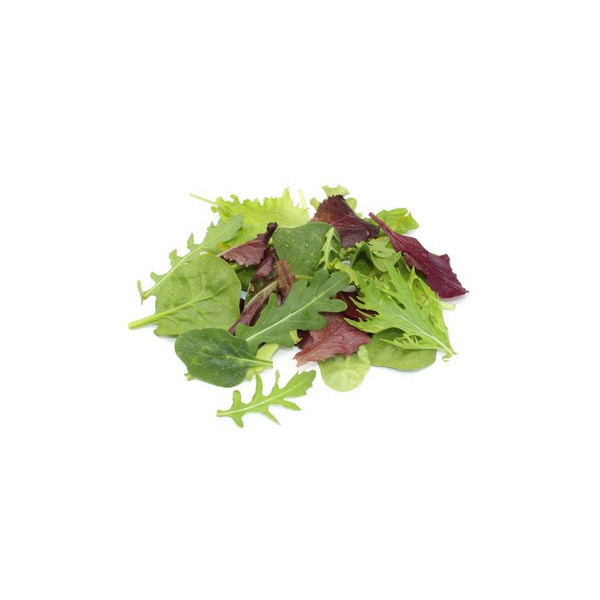 salade roquette Provence125g