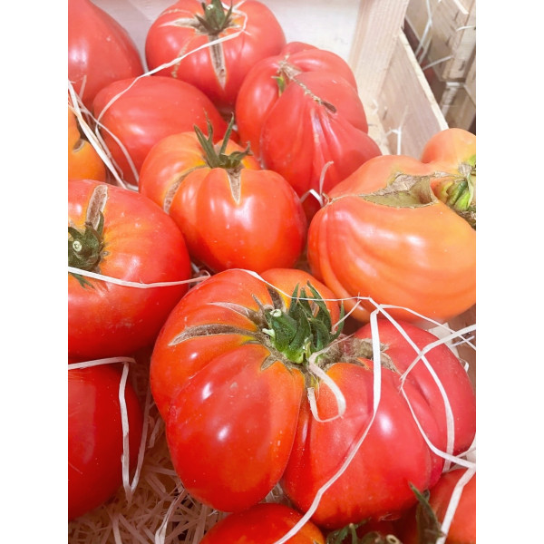Tomates anciennes tordues 5kg Maillane