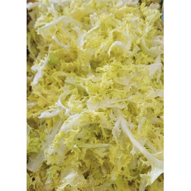 Salade cœurs de frisée 500g Maillane