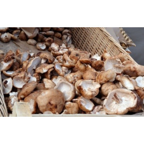 Champignons shiitaké france 2kg
