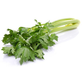 Celeri branches  vert provence 1 pièce