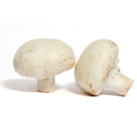 Champignon de Paris (250g) de pays