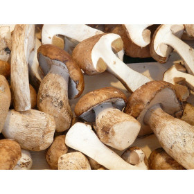 Champignons secs chanterelles sauvages de France pot 20g